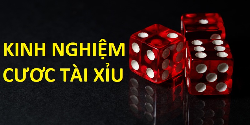 Kinh nghiệm đặt cược tài xỉu siêu chuẩn từ cao thủ