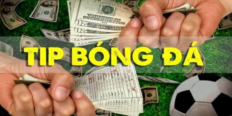 Tip bóng đá uy tín sẽ cho phần trăm chiến thắng cao