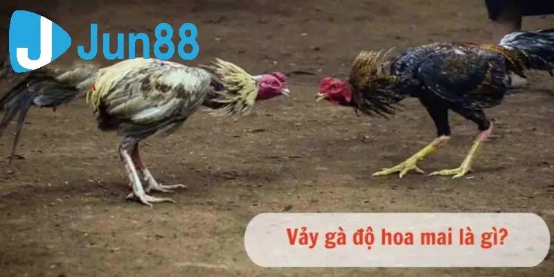 Khái niệm vảy hoa mai