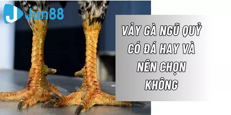 Những câu hỏi thường gặp về vảy gà ngũ quỷ